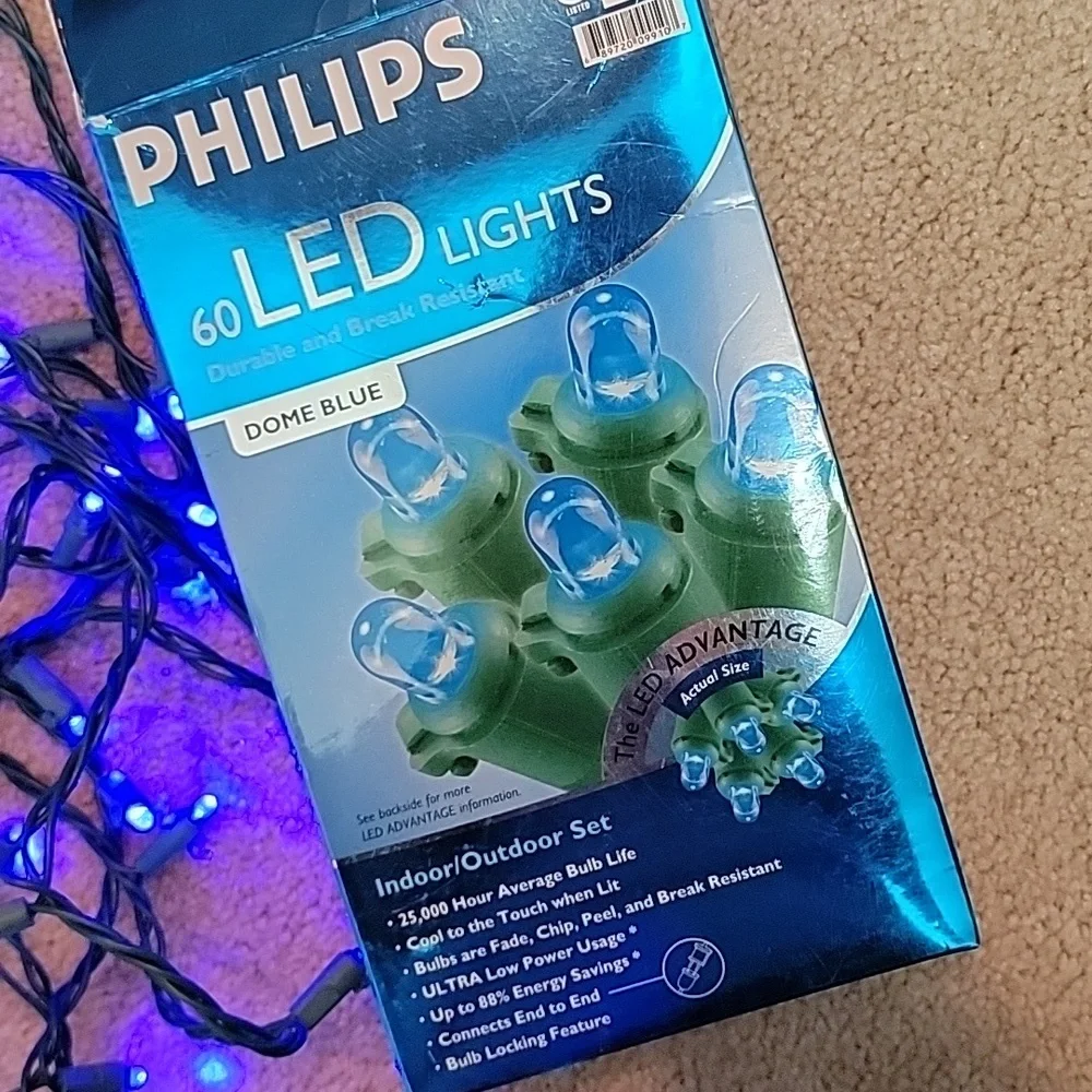 PHILIPS 60 LED Indoor/Outdoor Light Set - Dome Blue